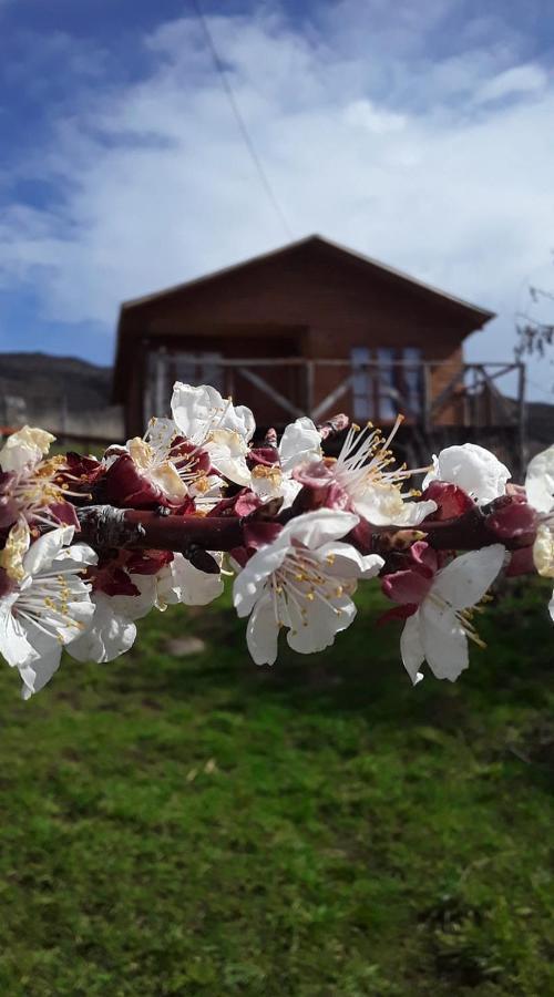 Sol De La Patagonia Bed and Breakfast Puerto Guadal Eksteriør billede